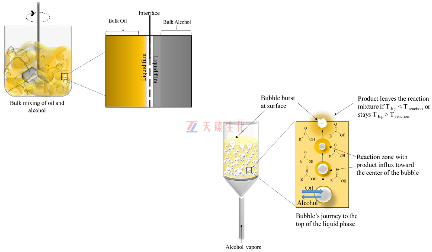 1668527896306562.png 微泡酯化.png